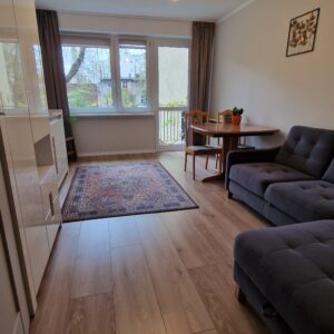 Wynajmę mieszkanie 2 pokojowe, ul. Słowackiego w Toruniu